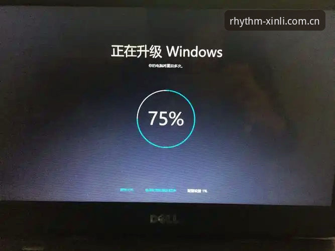 资深用户分享新利体育官网兼容版下载失败处理心得——别再反复重试了，这些实战经验更管用